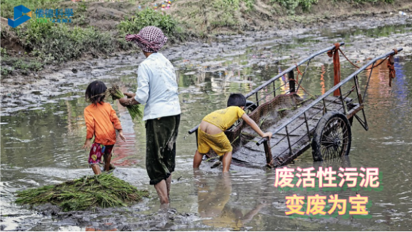 变废为宝，微波消解助废活性污泥铜检测